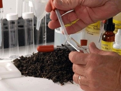 Исследование почвы на наличие патогенных микроорганизмов